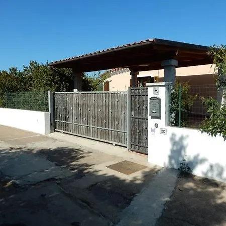 Iara Olbia